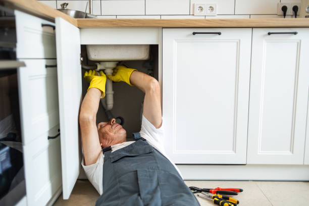 Best Septic Systems  in Brookridge, FL