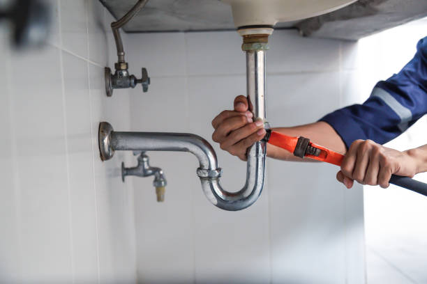 Best Affordable Plumbing Services  in Brookridge, FL